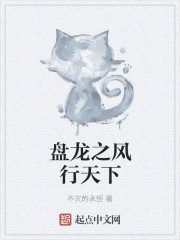 盘龙之风雷恶魔