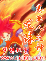 龙珠之赛亚之神