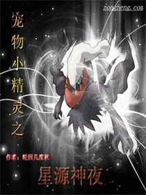 宠物小精灵之星源神夜