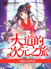 大道的二次元之旅
