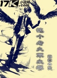 这个老大不太坏